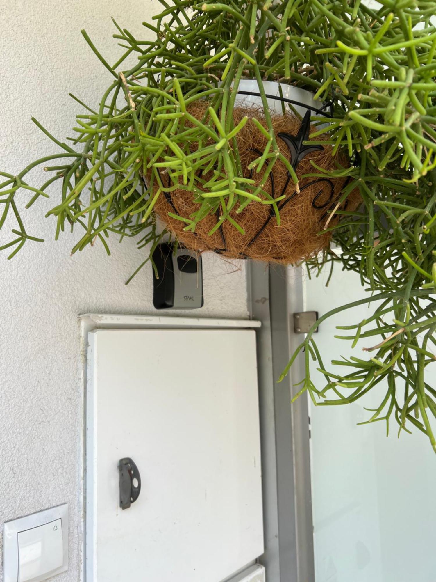 Ferienwohnung Apartament Wiktoria Wilanow Warschau Exterior foto